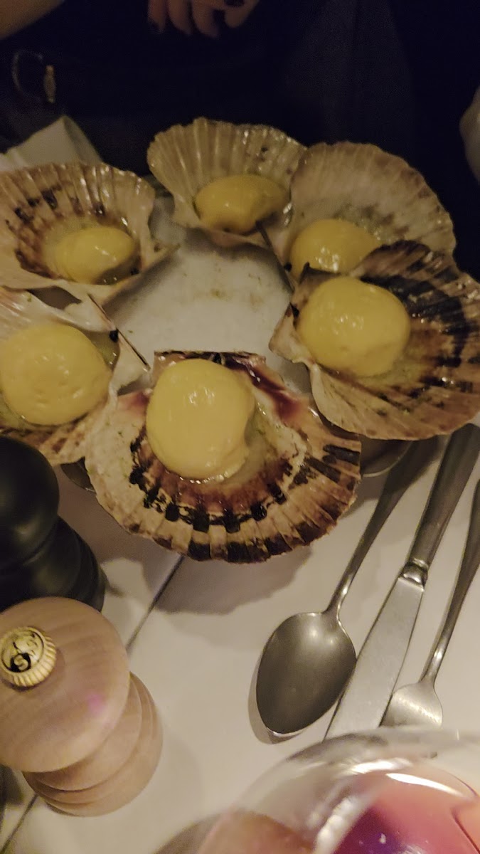Badcuyp-2