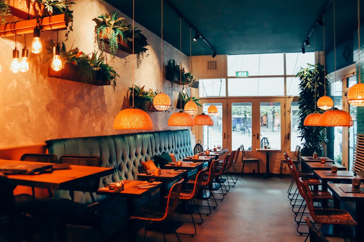 Bambu Haarlem