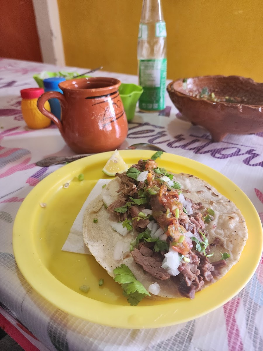 Barbacoa Y Ximbo Panchito Campeón