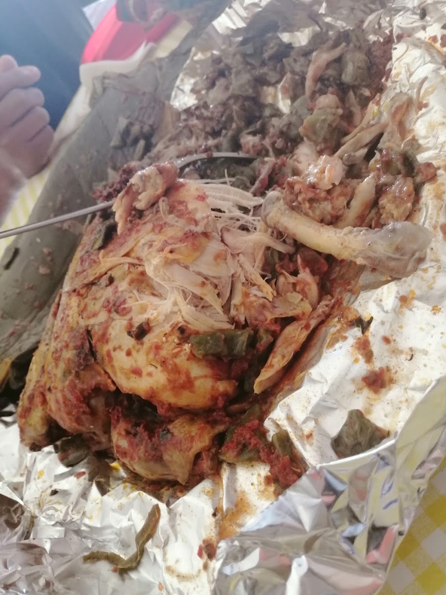 Barbacoa Y Ximbo Panchito Campeón-5