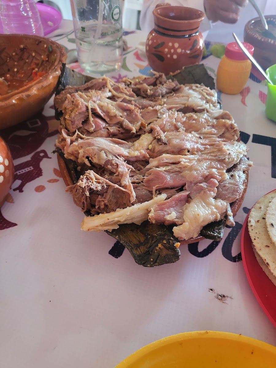 Barbacoa Y Ximbo Panchito Campeón-6