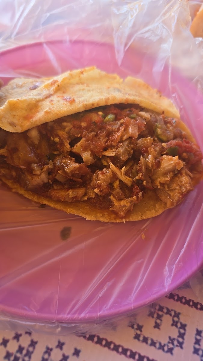 Barbacoa Y Ximbo Panchito Campeón-8