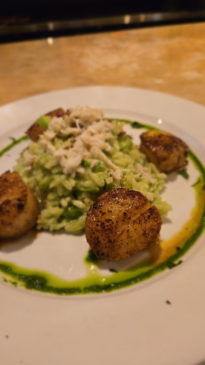 Barka Mediterranean Seafood & Steak-10