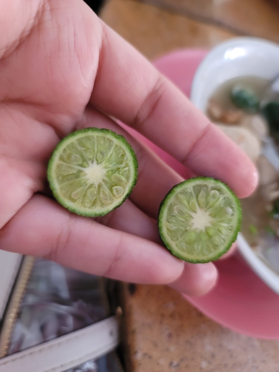 Baso Rudal Mas Ardi-10