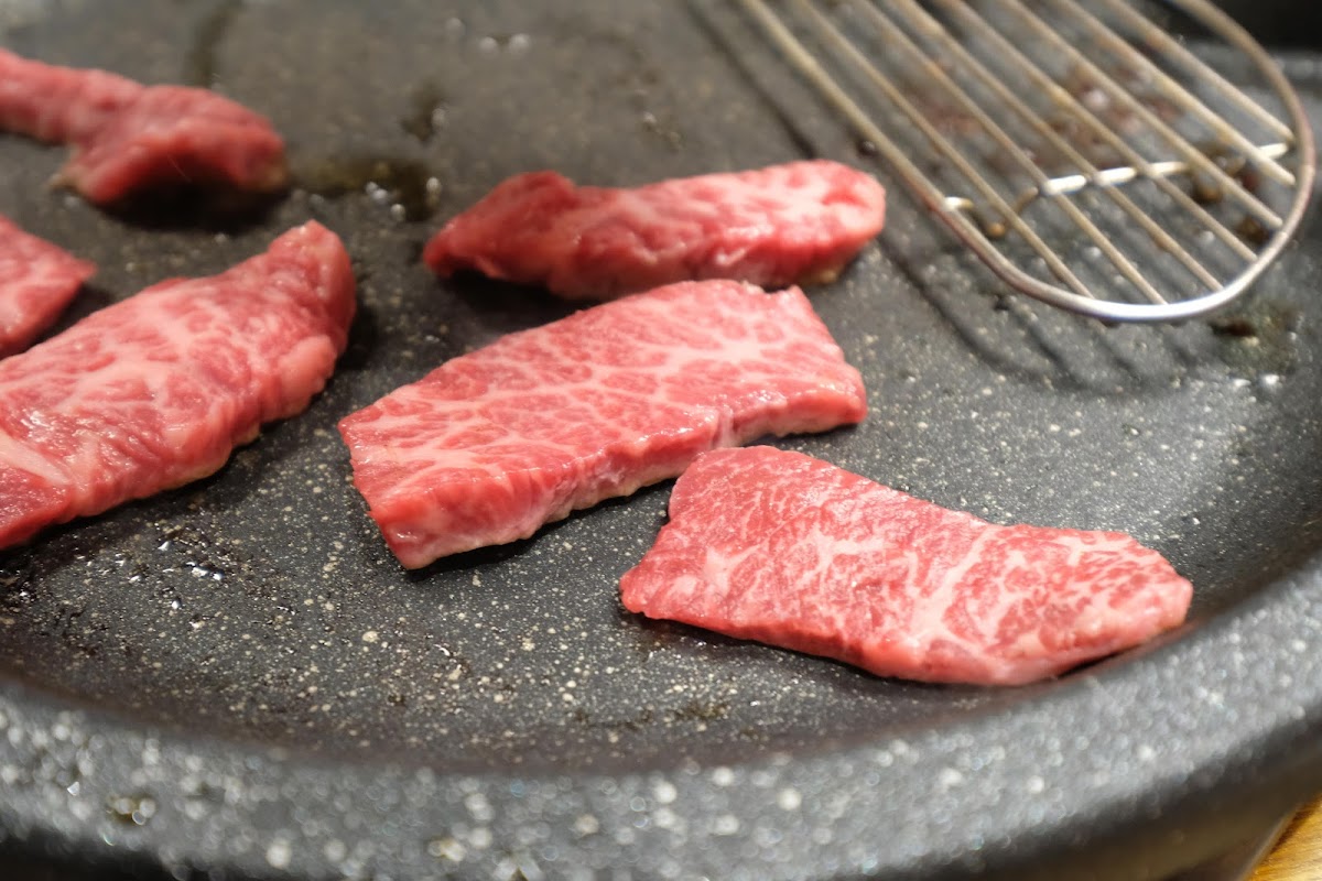 Bbq-K Springvale-10