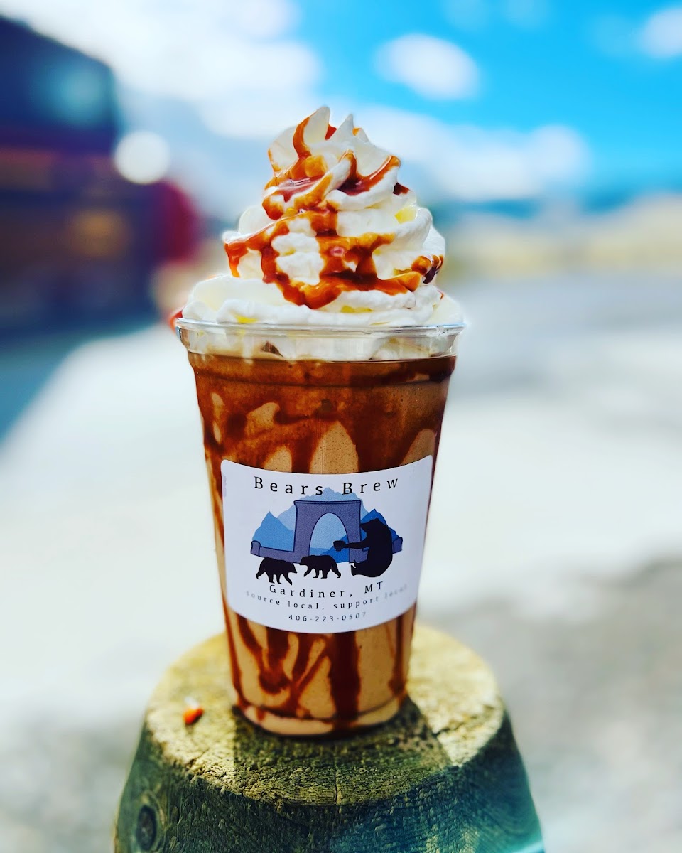 Bears Brew-10