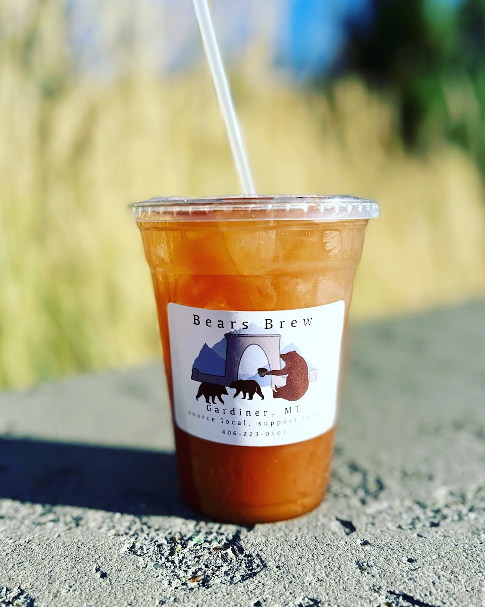 Bears Brew-7
