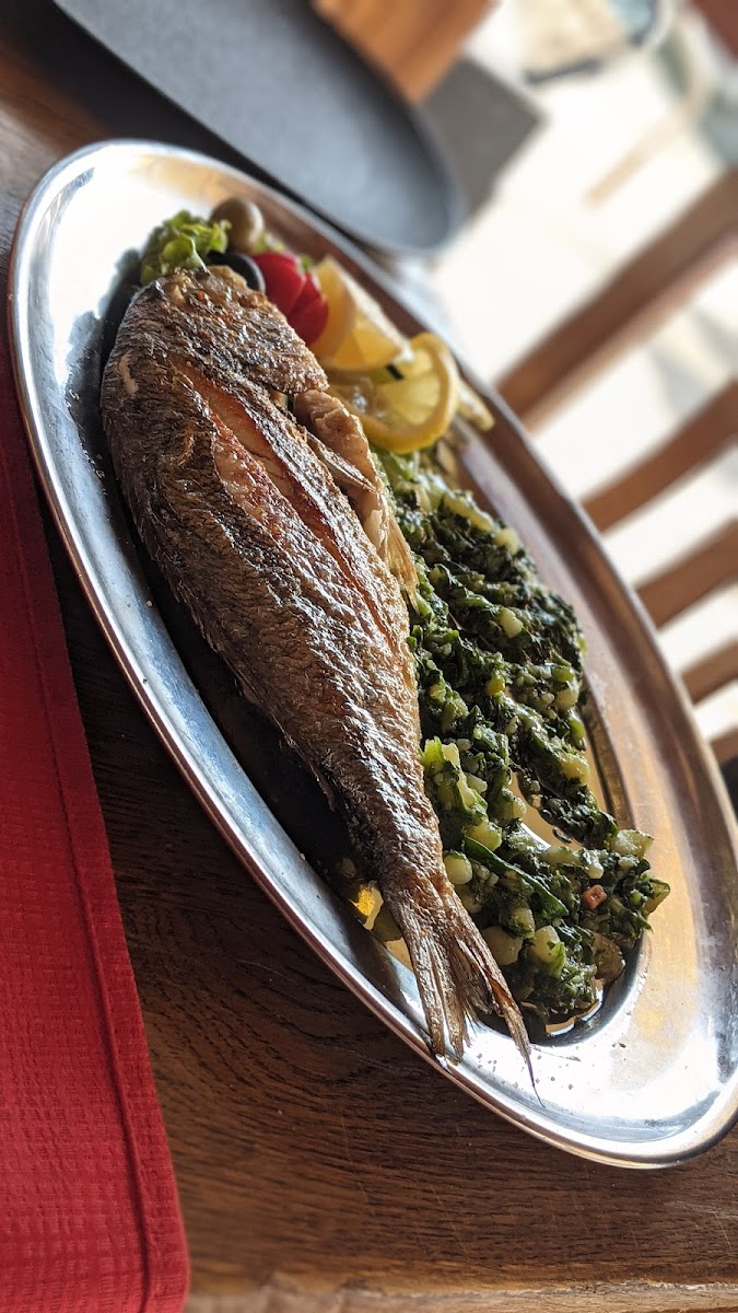 Bistro Porat-9