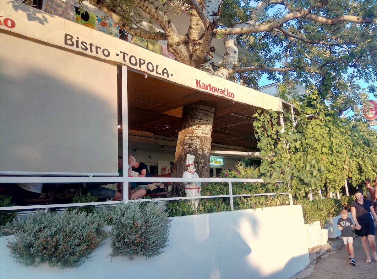 Bistro Topola