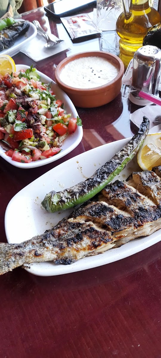 Bizim Dedenin Yeri Çayirbaği-2