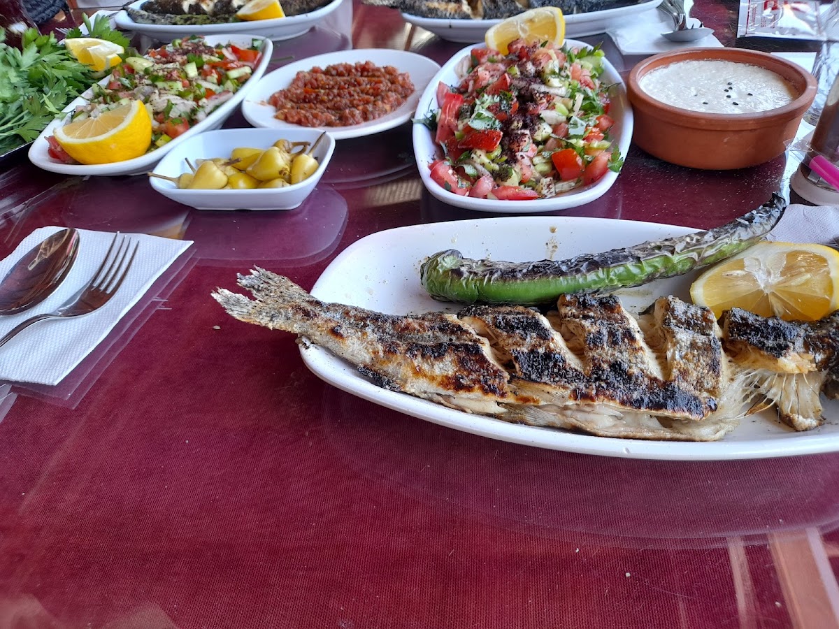 Bizim Dedenin Yeri Çayirbaği-4