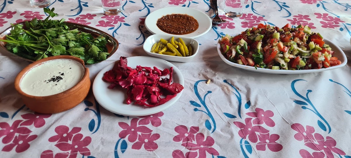 Bizim Dedenin Yeri Çayirbaği-7