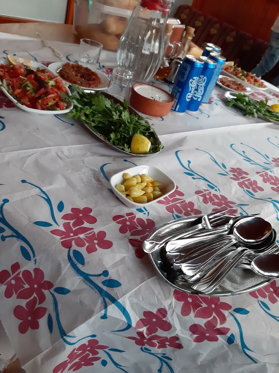 Bizim Dedenin Yeri Çayirbaği-9
