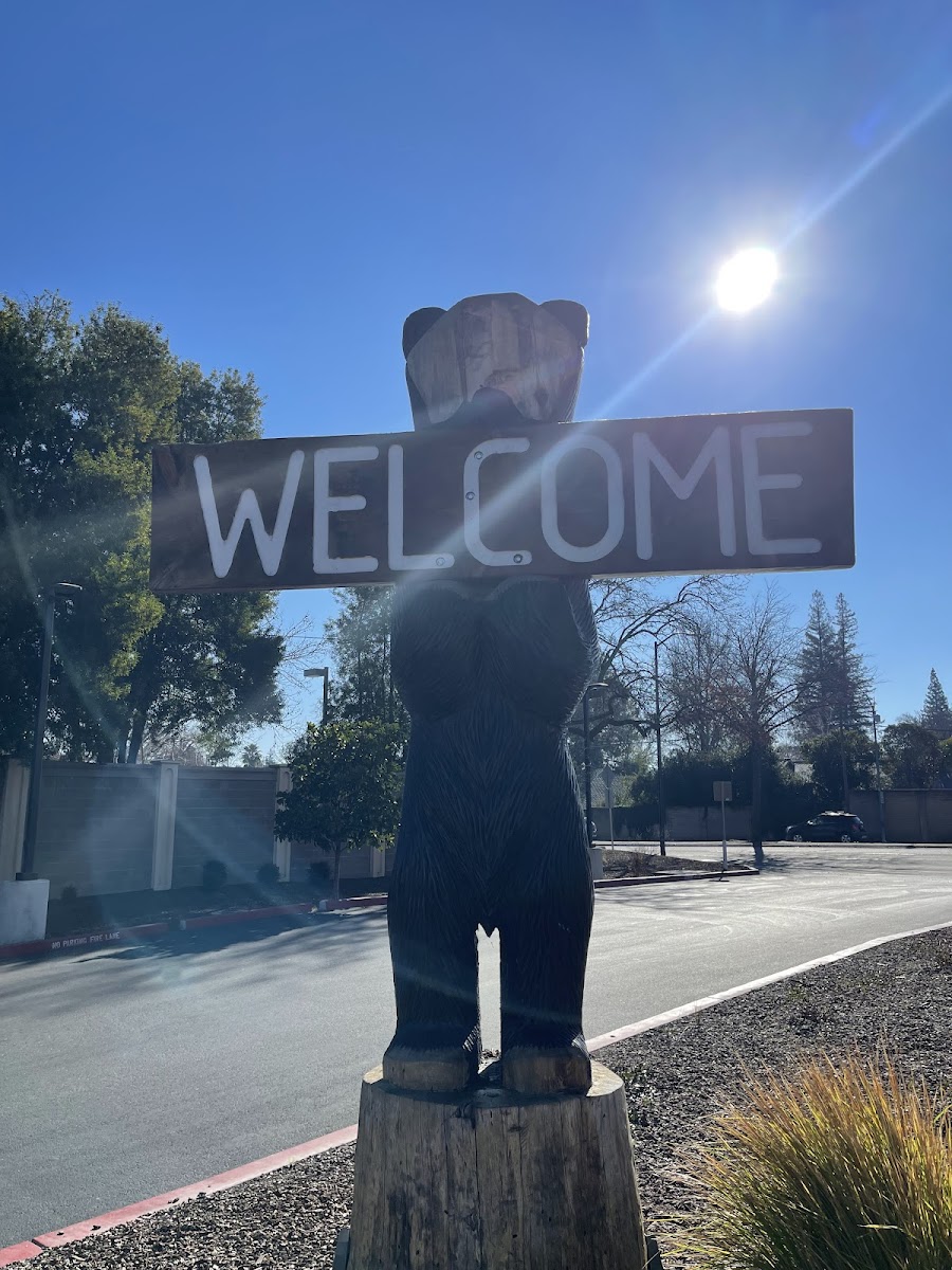 Black Bear Diner Citrus Heights-4