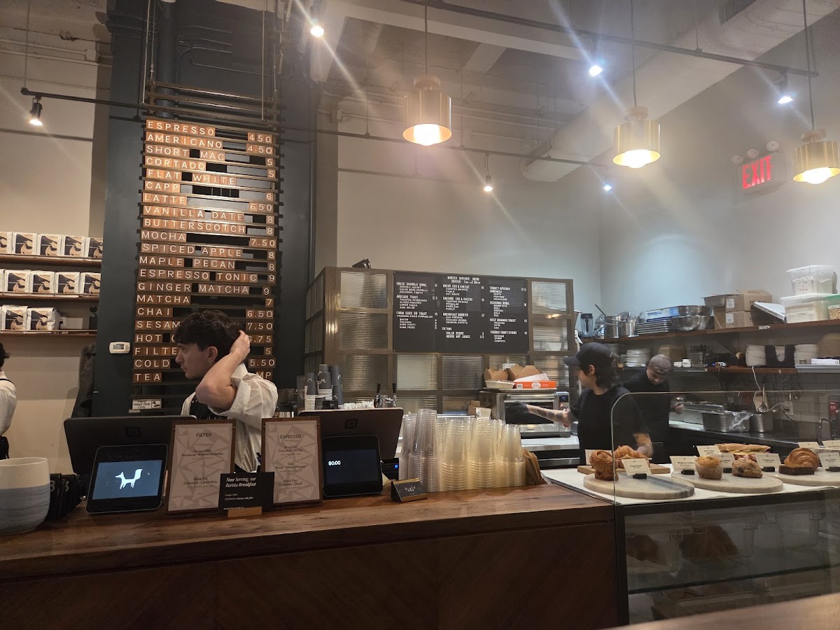 Black Fox Coffee-3