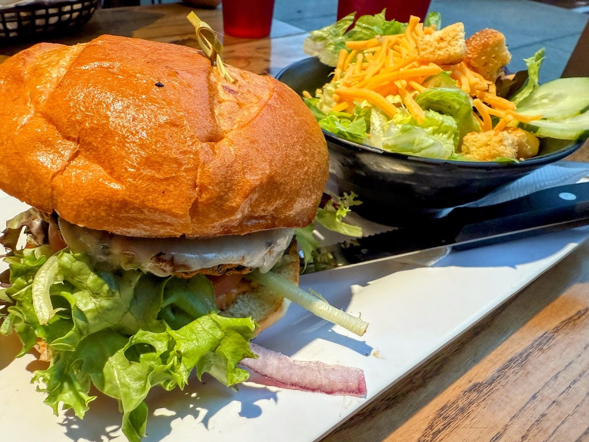 Blazing Onion Burger Company-3
