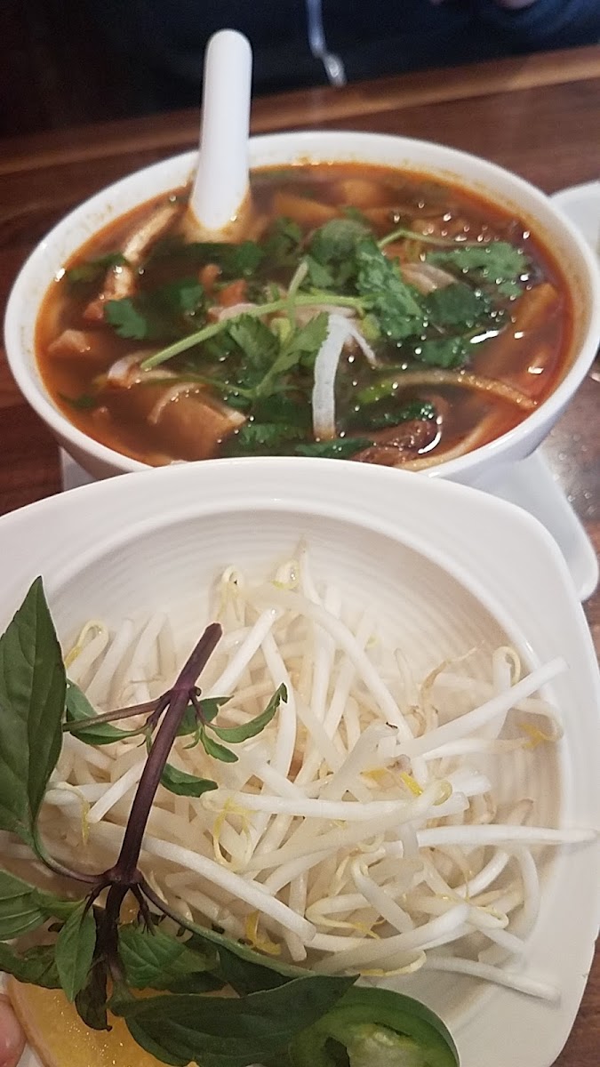 Blossom Vegan-9