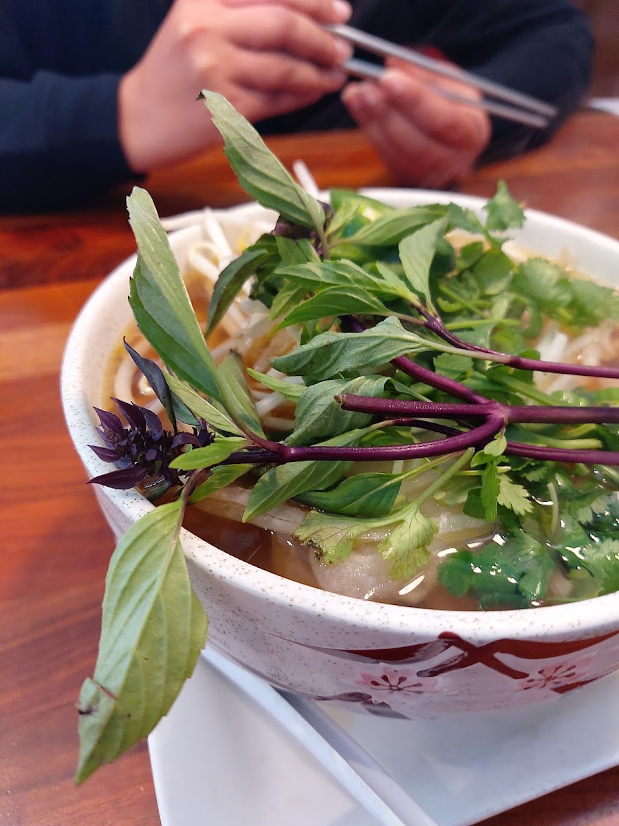 Blossom Vegan-4