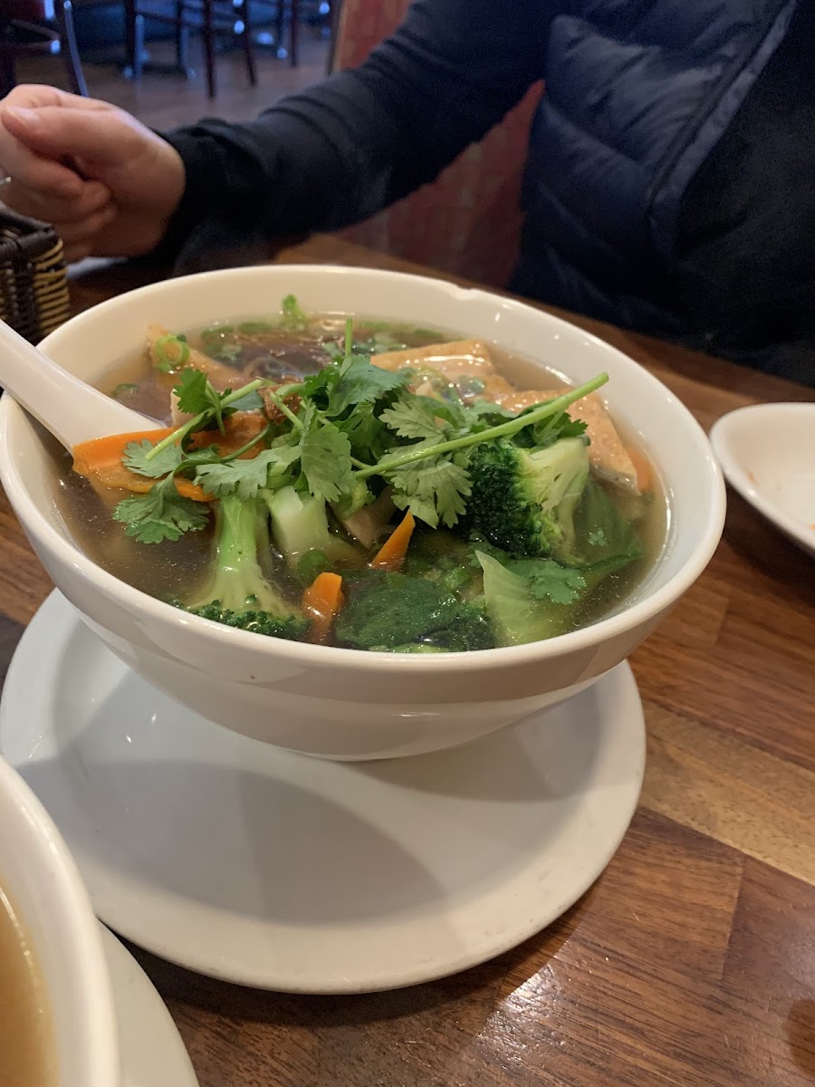 Blossom Vegan-5