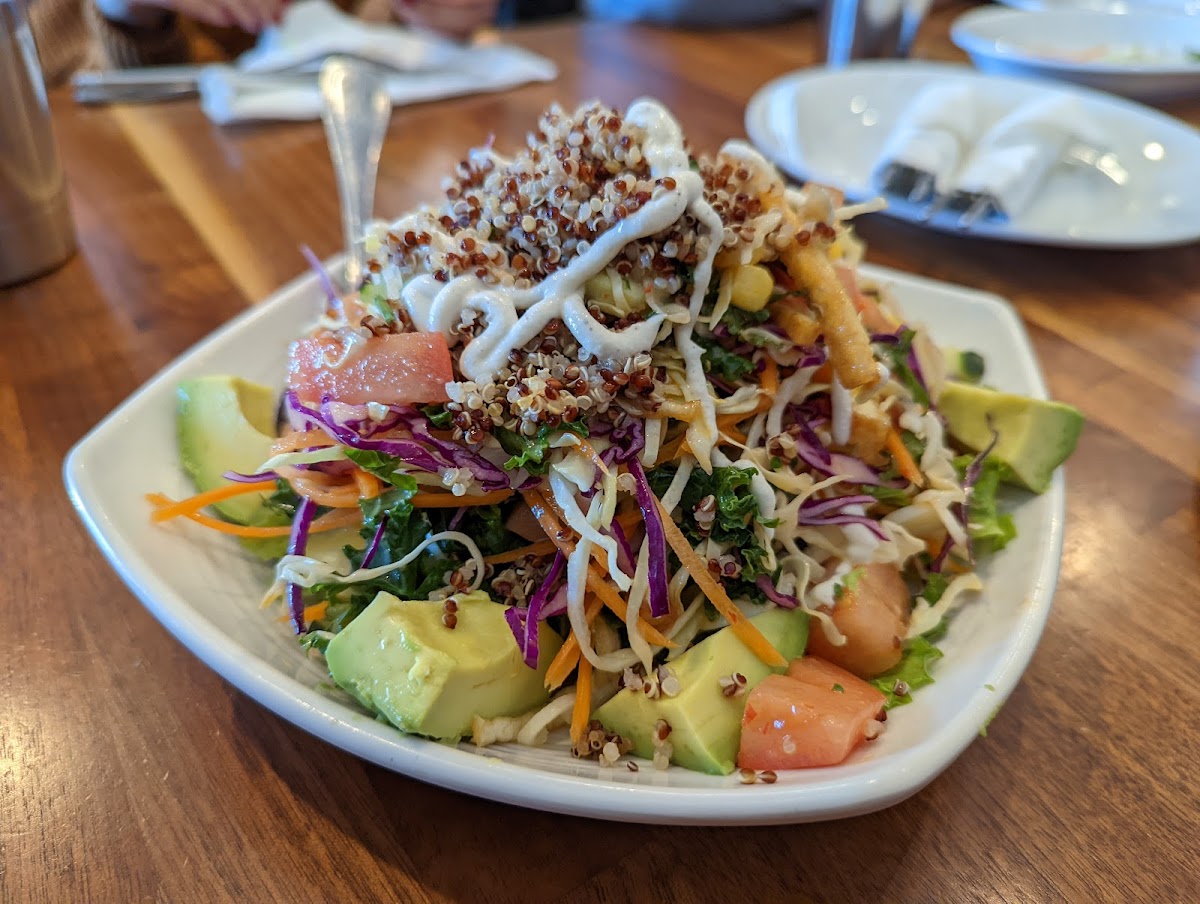 Blossom Vegan-6