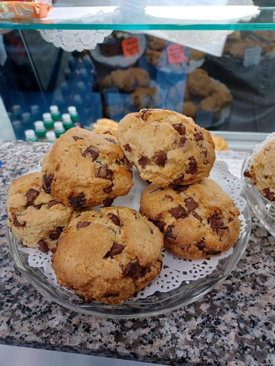 Blue Cup Cafe-4