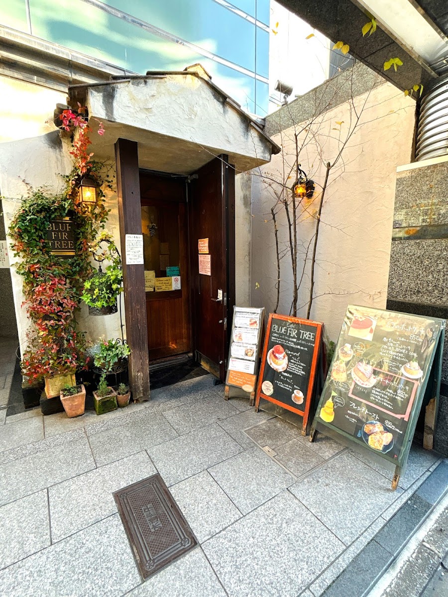 Blue Fir Tree-3