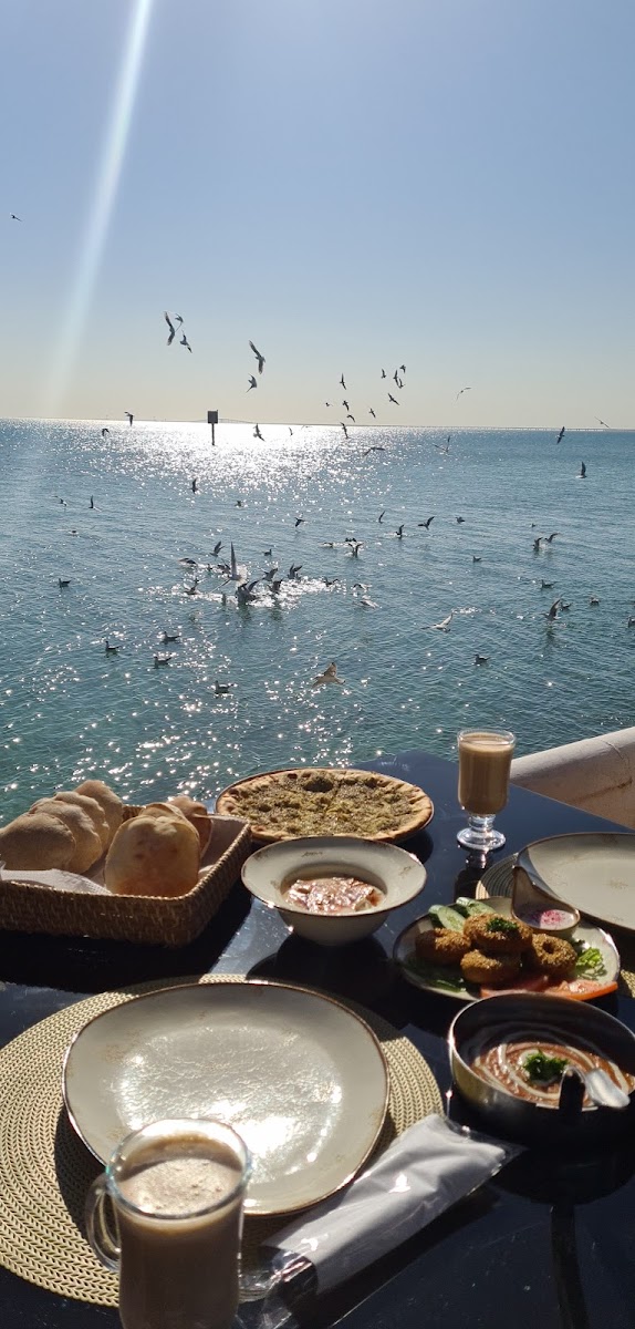 Blue Garden Khobar بلو جاردن الخبر-7