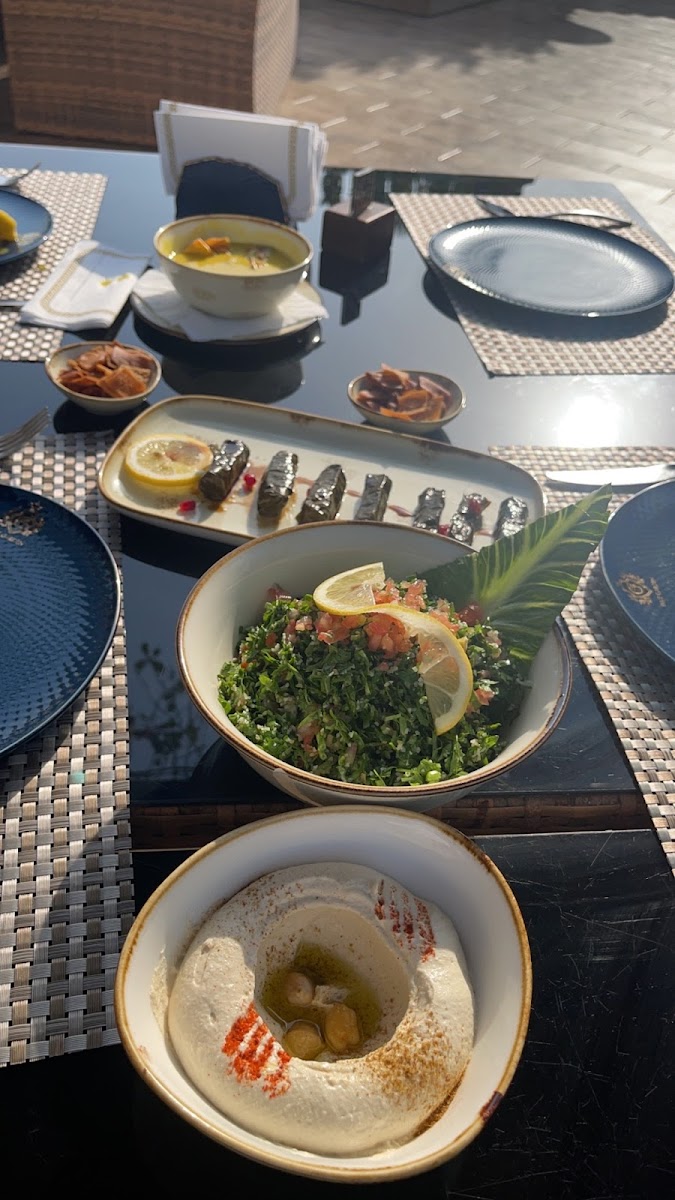 Blue Garden Khobar بلو جاردن الخبر-8