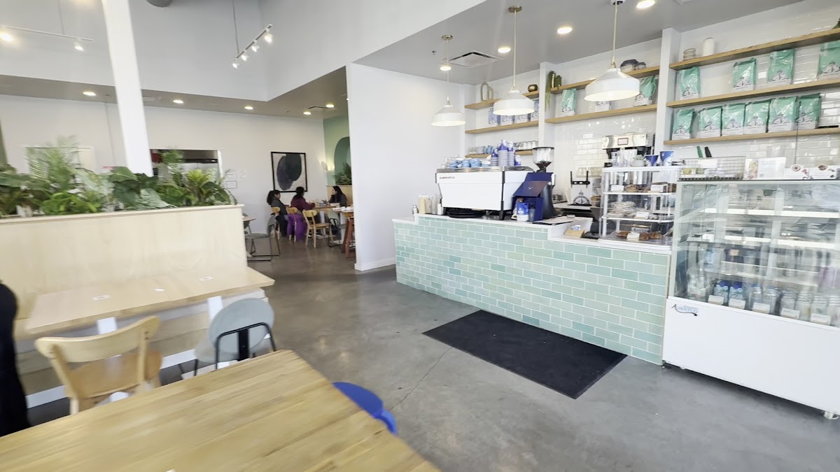 Bluestone Lane Princeton Cafe-3