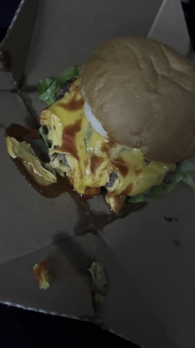 Bobsek Burger-2