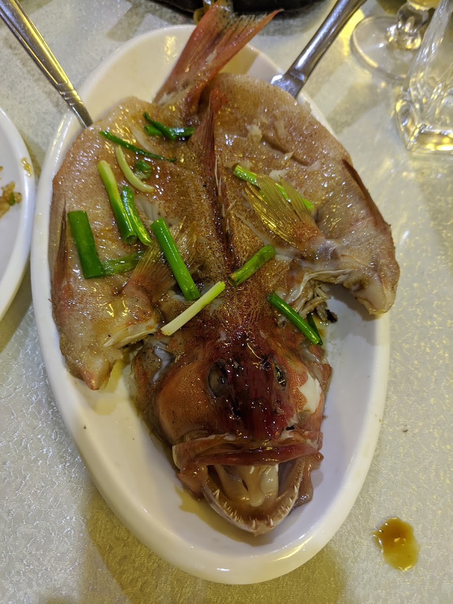 Bohai Seafood Restaurant-5