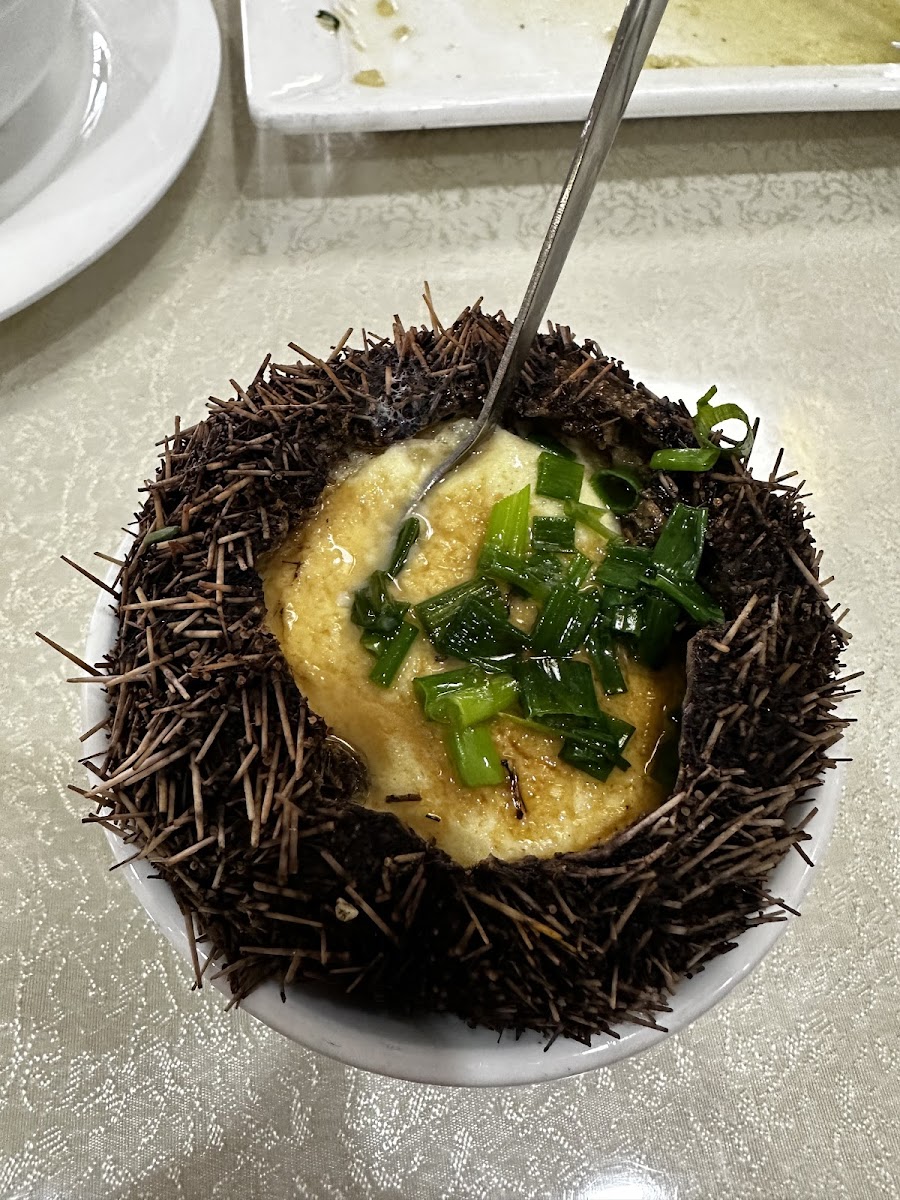 Bohai Seafood Restaurant-7
