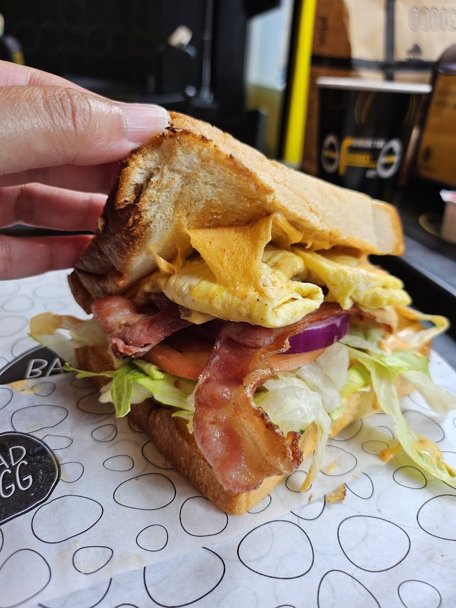 Bold Bites Co. - Toronto-9