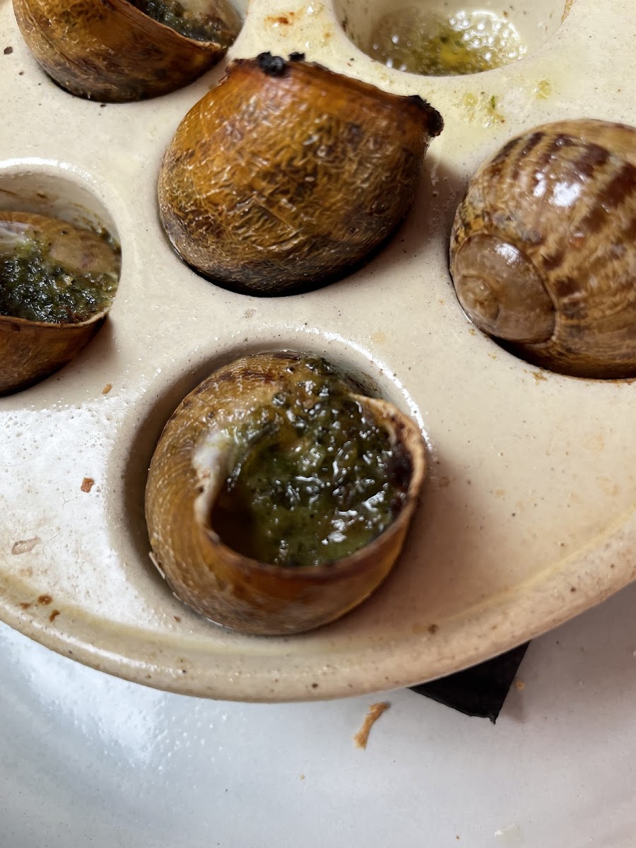 Bouchon Thomas-7