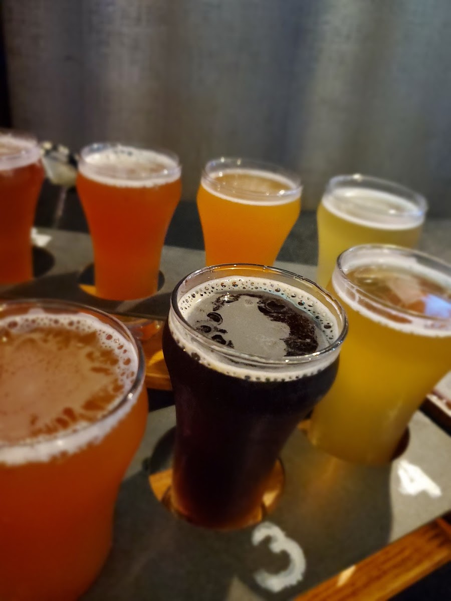 Boulder Tap House-10