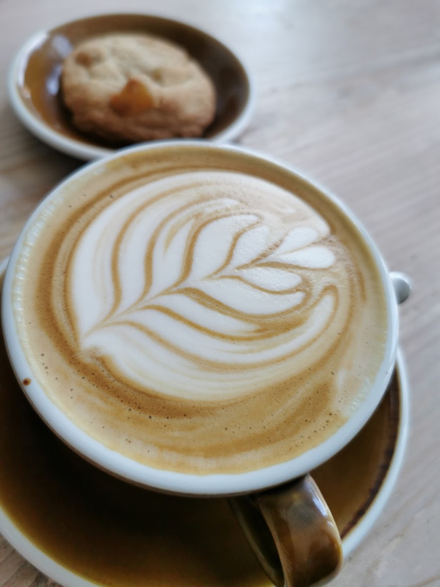 Box Brownie Coffee-5