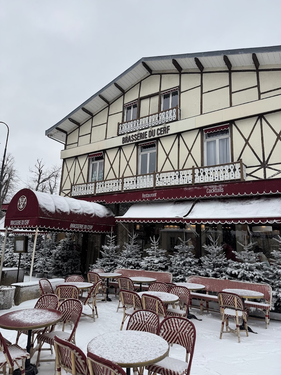 Brasserie Du Cerf-2