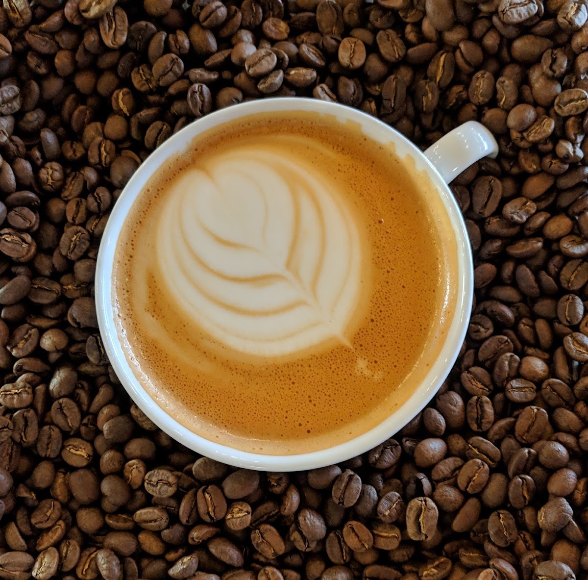 Brew Coffee House-4
