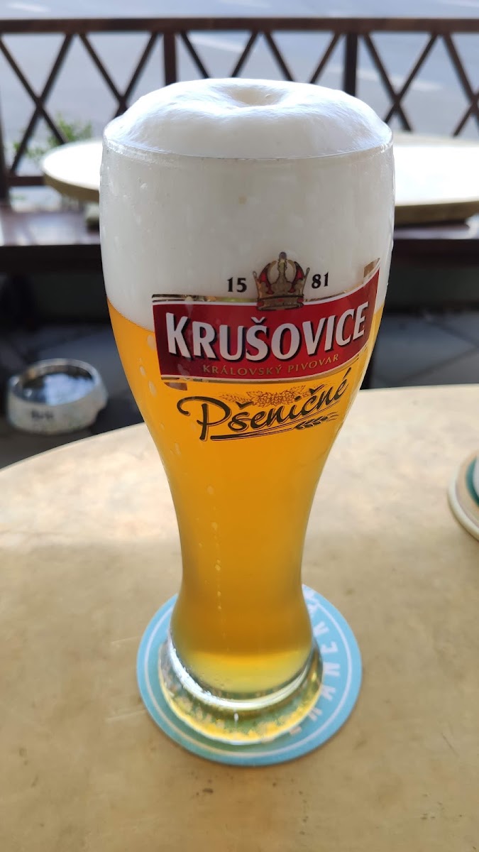 Bristol Olomouc-9