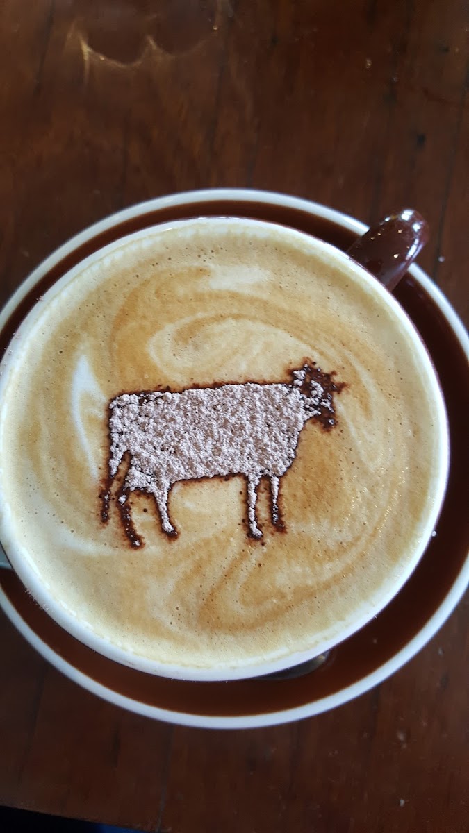 Brown Cow-5