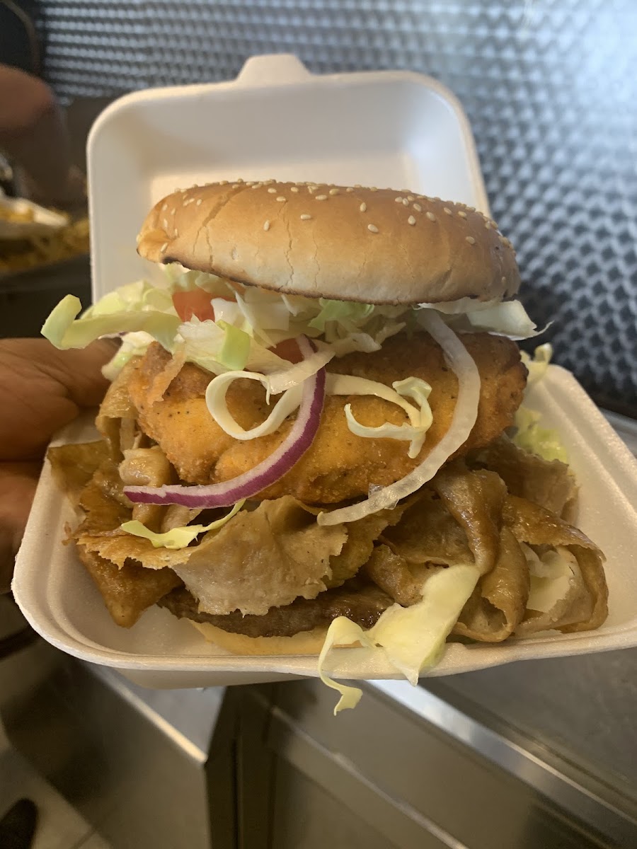 Brynsiencyn Kebab House-7