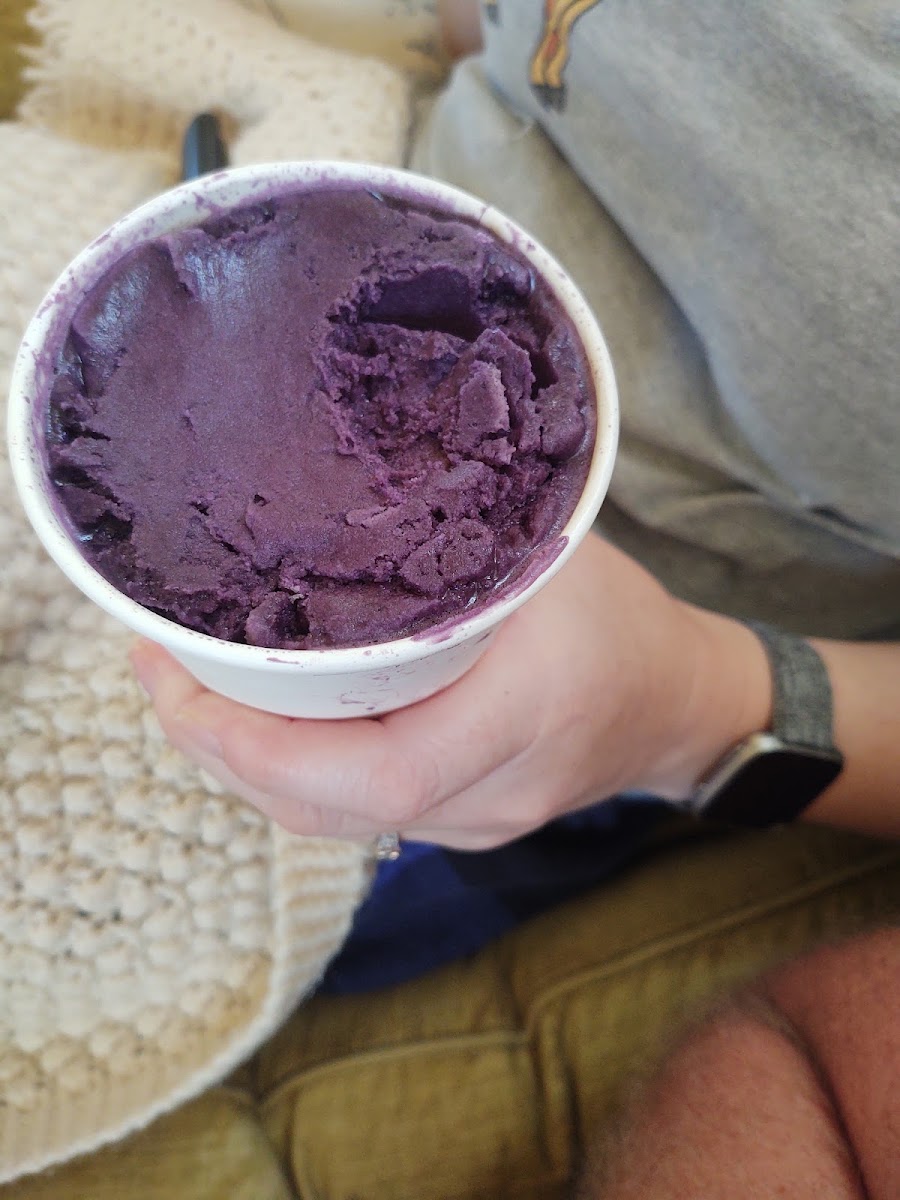 Buffalo Pizza & Ice Cream Co-9