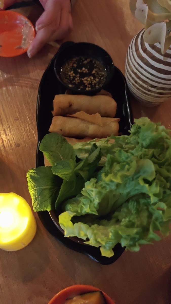 Buja Végétarien-2