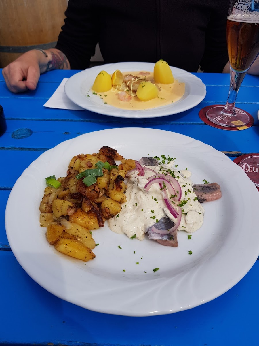 Bunte Kuh Helgoland-10