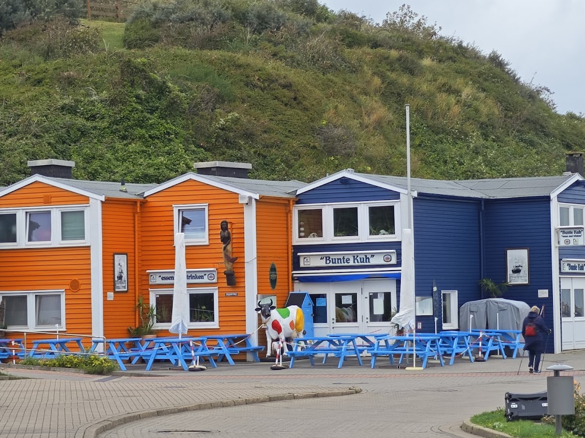 Bunte Kuh Helgoland-4