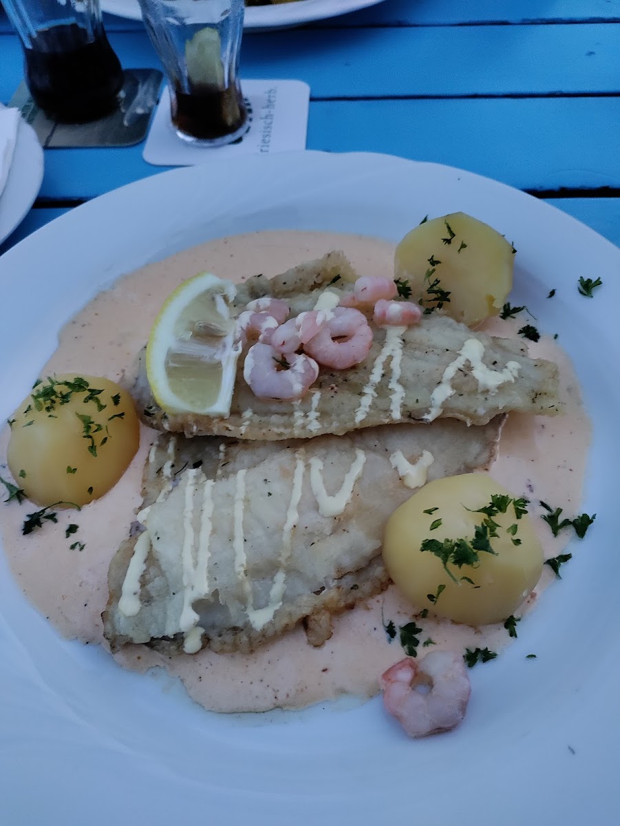 Bunte Kuh Helgoland-6