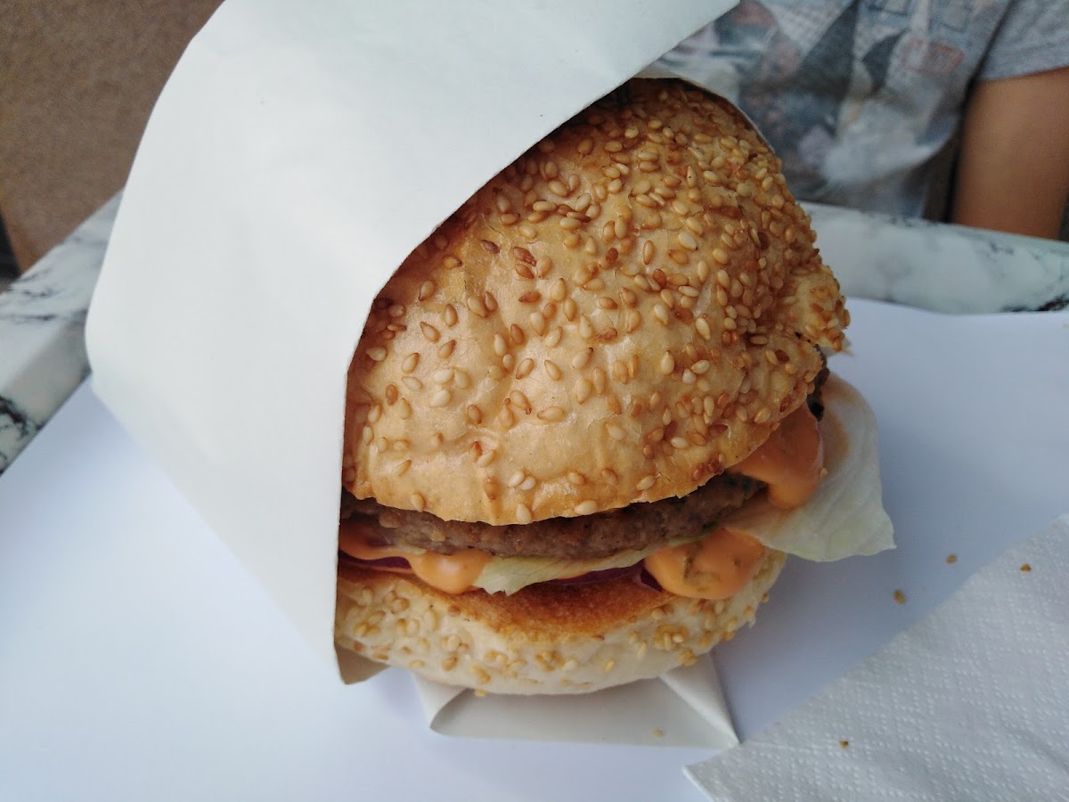 Burger 66-10