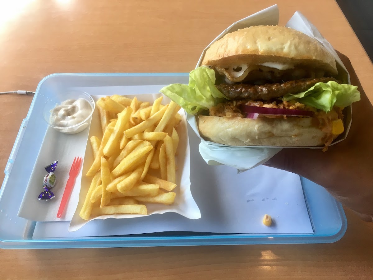 Burger 66-5
