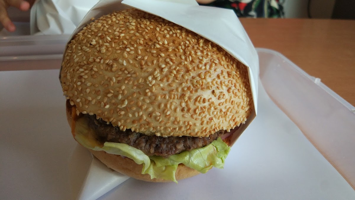 Burger 66-6