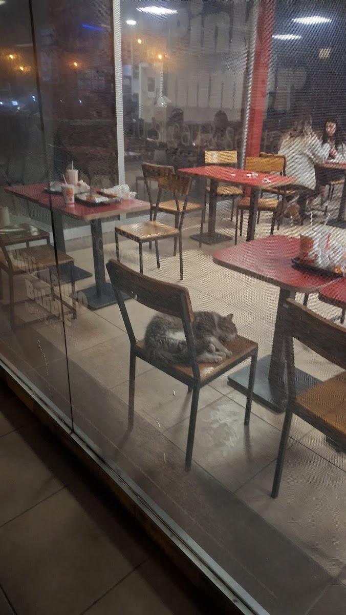 Burger King - Kamiloba-9